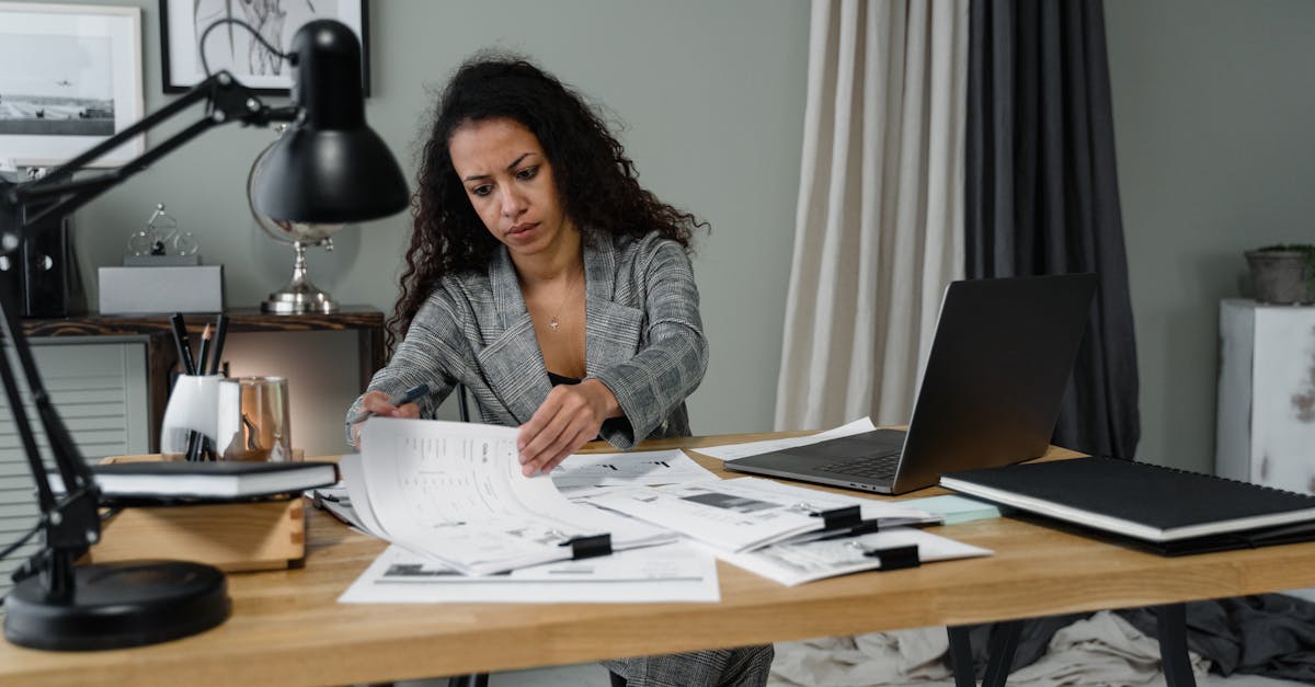 猫之宿约者：静安区代理记账注册机构