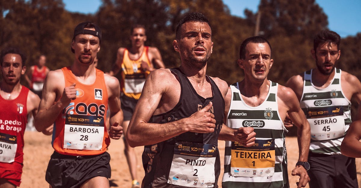 野草云实名账号：伊犁代理注册公司