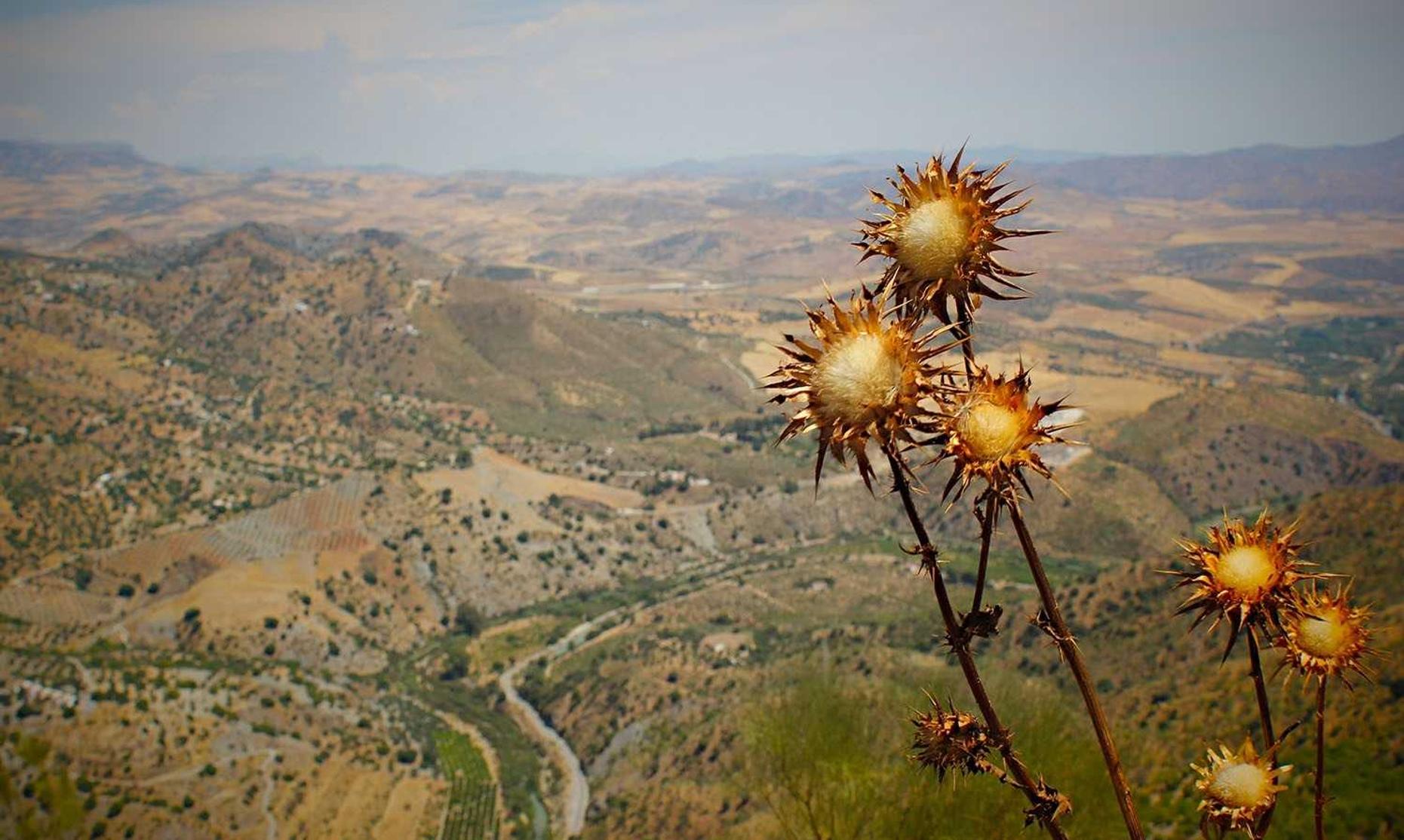 宇博盗版软件哪个平台购买