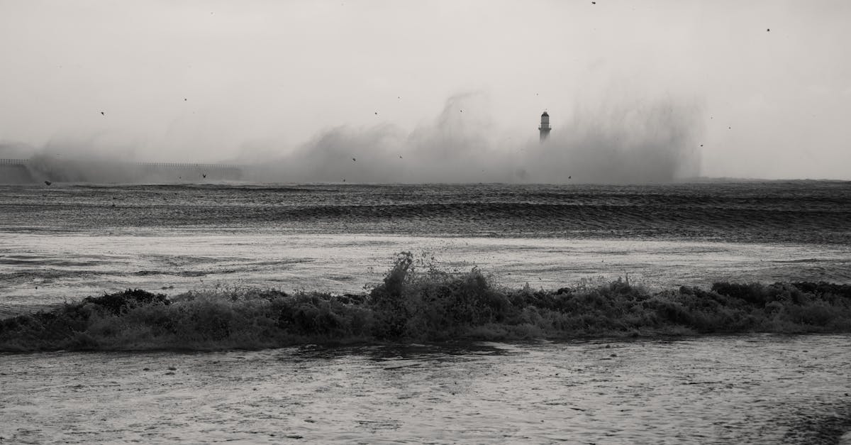 通过短信达到更好的客户群体拓展