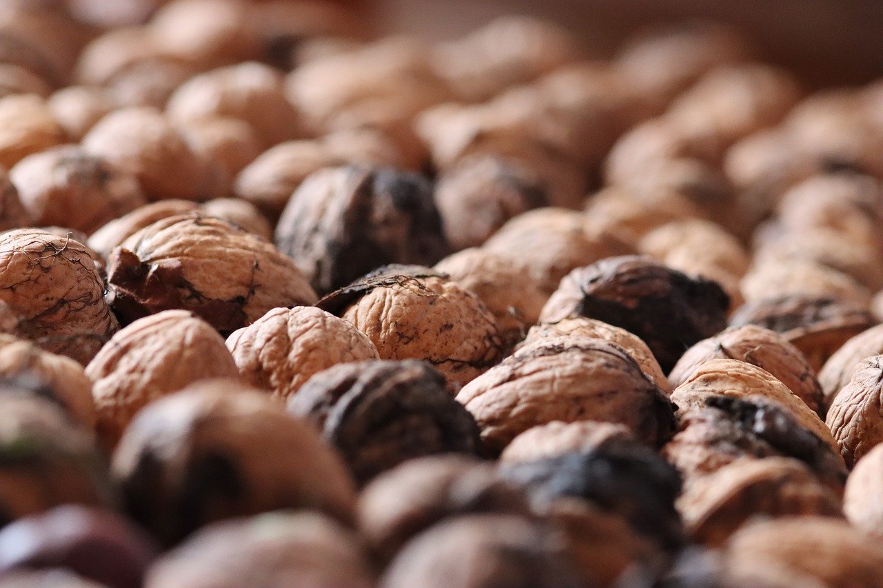 浙江装修公司注册代理记账