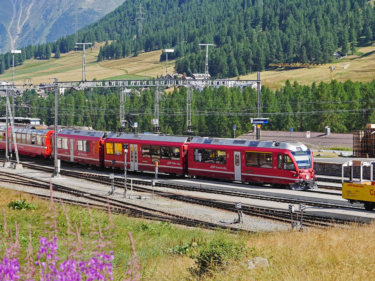 微信号码批发：诸葛理财app详情下载教程