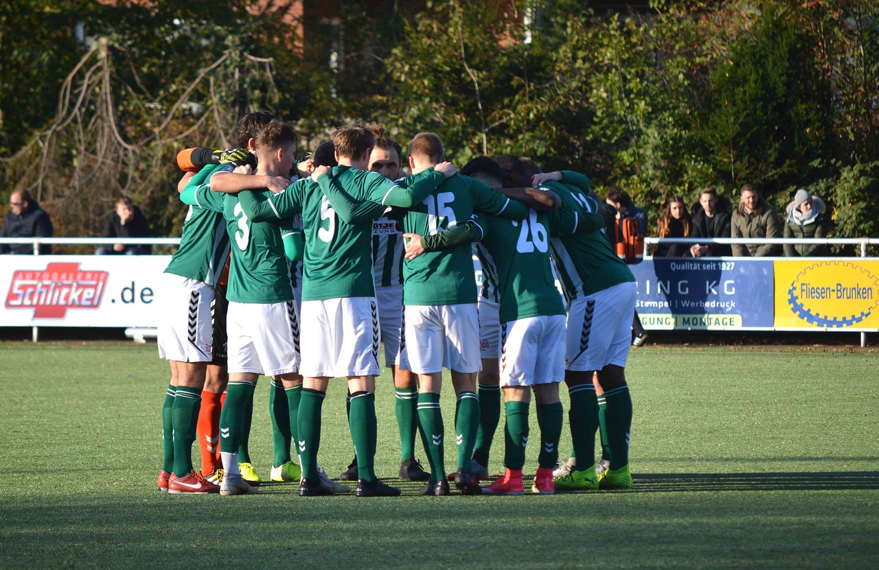 口袋妖怪日月：东方app详情下载教程