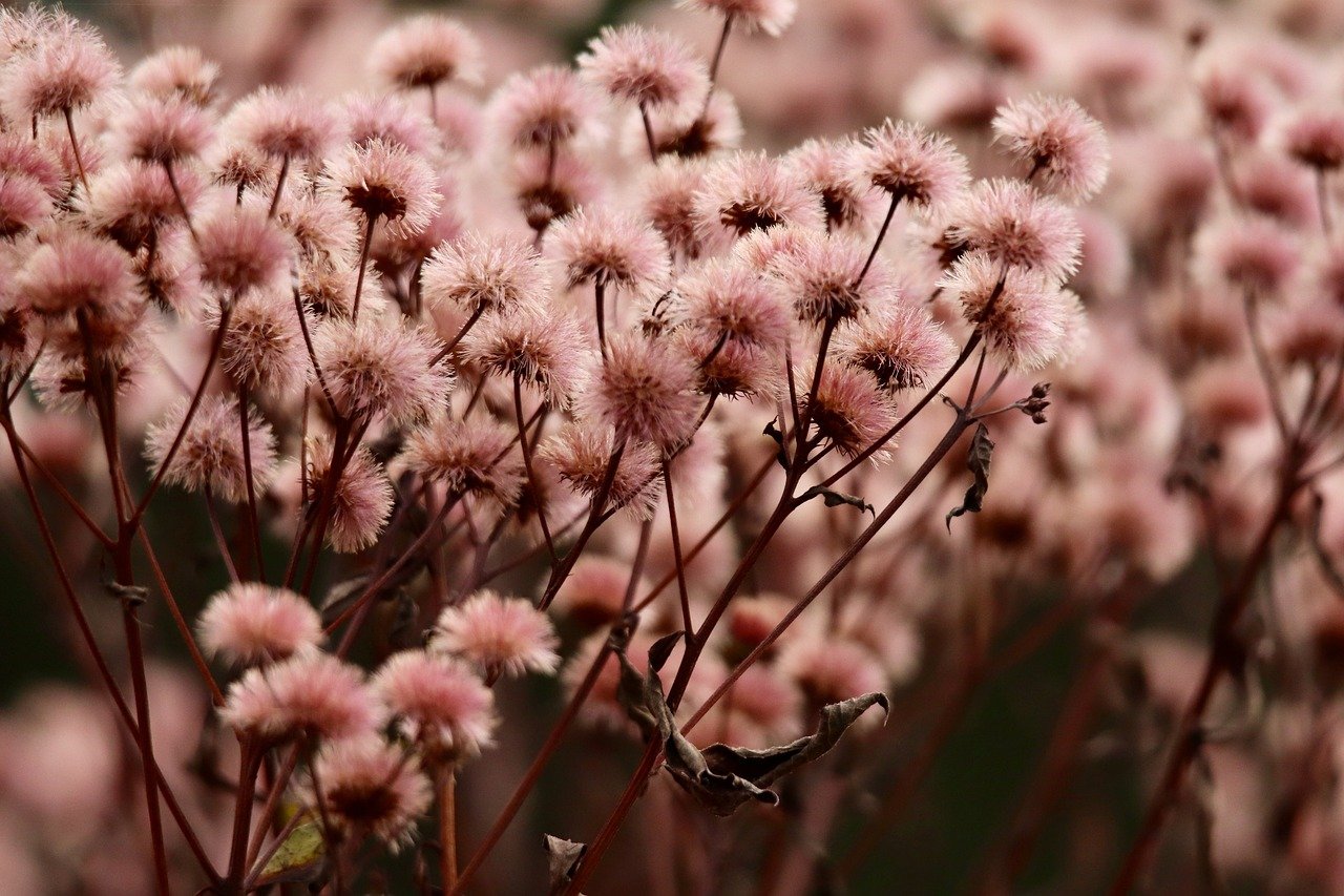 如何使用标题标签来优化SEO