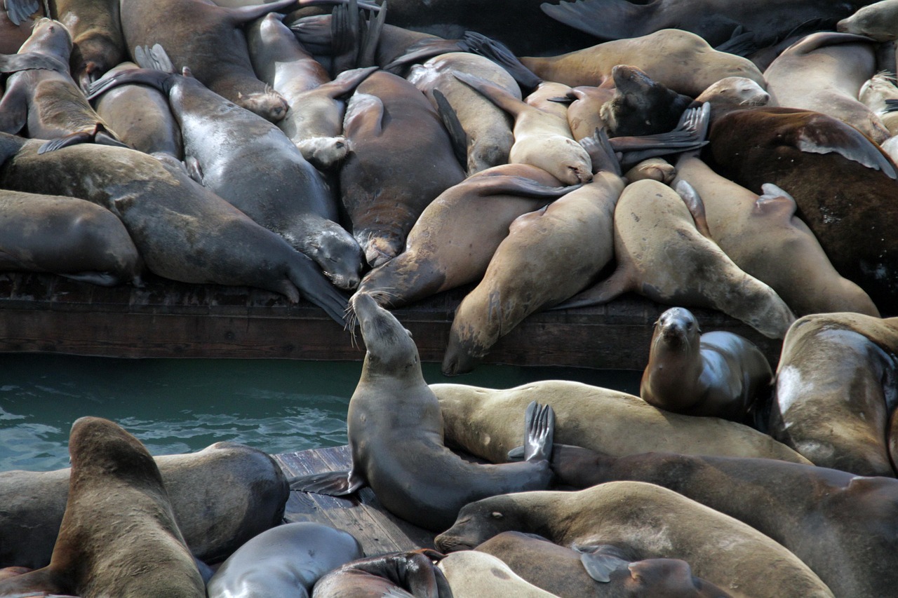 如何识别香烟的假冒伪劣 