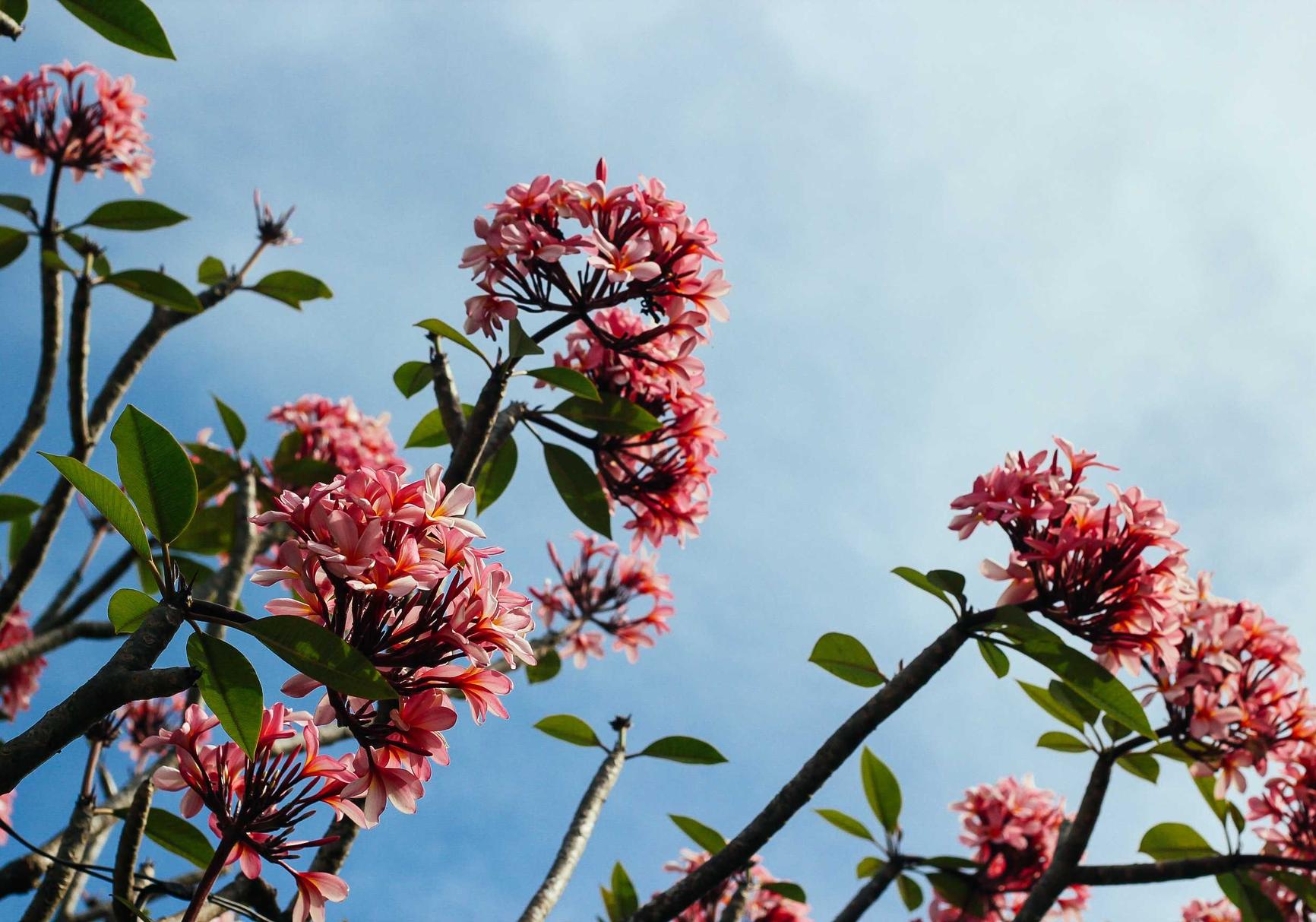 奇亿最新竞博详情下载教程app