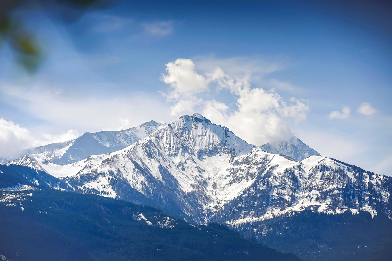 金山云实名账号:农卷风APP详情下载教程